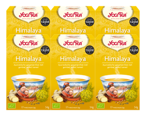 Yogi Tea Himalaya Voordeelverpakking