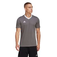 adidas Entrada 22 Voetbalshirt Grijs Wit