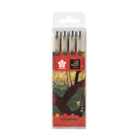 Fineliner Sakura x Van Gogh Museum set à 4 kleuren assorti | 6 stuks