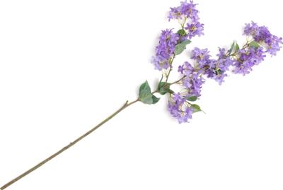 Jasmin Branch 115cm