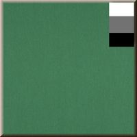 Walimex Stoffen achtergrond (l x b) 6 m x 2.85 m Smaragd