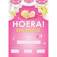 Deur poster meisje geboren   -