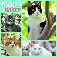 Cat Lovers Kalender 2026