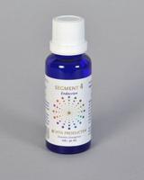 Vita Segment 4 endocrien (30 ml)