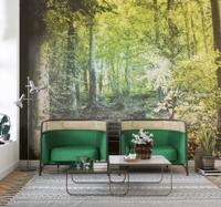 Pad met trappen Fotobehang bos