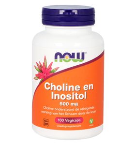 Choline en inositol 500mg