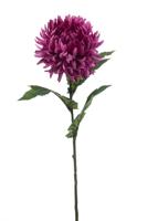 Mum spider spray purple 57 cm - Emerald