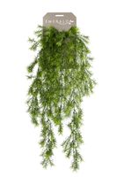 Kunstplant asparagus hanging bush 75cm - Emerald