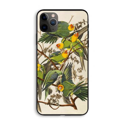 Carolinaparkiet: iPhone 11 Pro Max Biologisch afbreekbaar hoesje