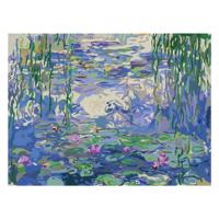 Ravensburger Creart schilderen op nummer - waterlilies monet