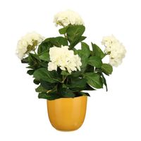 Hortensia kunstplant/kunstbloemen 45 cm - wit - in pot okergeel glans - Kunstplanten - thumbnail