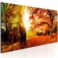 Schilderij - Magie van Herfst , boom - thumbnail