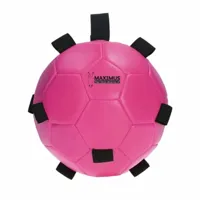 Maximus Fun Play Ball roze maat:-leeg-