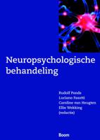 Neuropsychologische behandeling (Paperback)