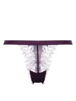 Maison Close string en dentelle - Violet