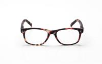 Blueberry Vintage Honey Tortoise