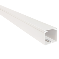 Kabelgoot wit 25x25mm 2 meter RAL 9010 in folie Canalit M5 955030 prijs per meter
