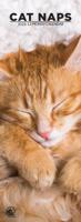 Cat Naps Slimline Kalender 2026