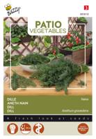 Patio Veggies, Dille nano - Buzzy