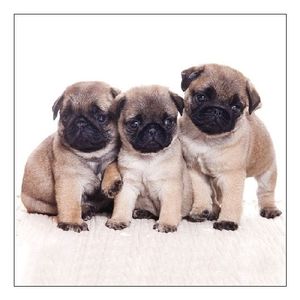 20x Dier thema feest servetjes 33 x 33 cm Mophondjes print bruin/wit