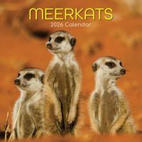 Stokstaartjes Kalender 2026