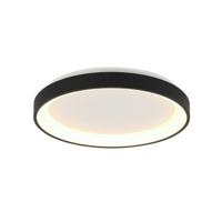 Steinhauer Plafondlamp Ringlede Zwart Ø 28cm Led 20Watt Dimbaar 3690ZW