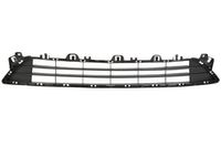 Ventilatiegrille, bumper 6502073453910P