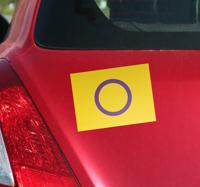 Intersekse vlag autosticker