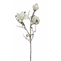 Mica Decorations Kunstbloemen Magnolia takken - 90 cm - wit - Kunst zijde - Boeket - stelen
