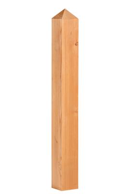 Paal douglas met diamantkop 14,0x14,0x125 cm Tuindeco - Tuindeco
