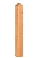 Paal douglas met diamantkop 14,0x14,0x125 cm Tuindeco - Tuindeco Paal douglas met diamantkop 14,0x14,0x125 cm Tuindeco - Tuindeco