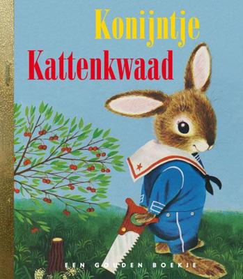 Konijntje kattenkwaad (Hardback)