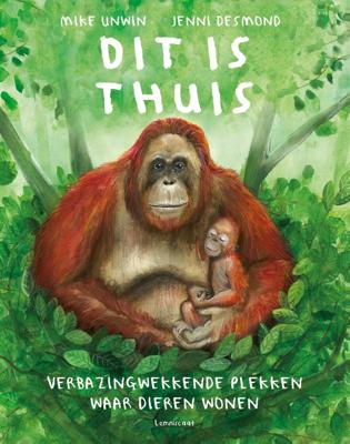 Dit is thuis (Hardback)