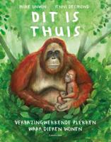 Dit is thuis (Hardback)