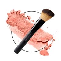 Les Couleurs de Noir Pinceau Blush N°4