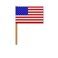 Zwaaivlaggetjes Amerika