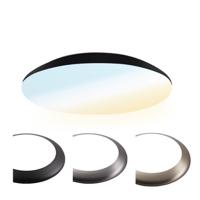 LED Bulkhead - Diameter 25cm - 12W 1300 lumen - CCT Lichtkleur instelbaar - IP65 Waterdicht- Vandalismeproof - Plafonniere - Voor binnen en buiten - Chroom