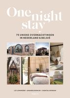 One Night Stay - Liz Lommerse, Amanda Romijn, Chantal Roskam - ebook