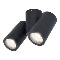 Silva plafondspot - Plafondverlichting - Kantelbaar - 2 spotlights - 6000K daglicht wit - Wandspot - IP65 waterdicht - Zwart