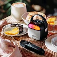Adler AD 1199 zwarte karaokeluidspreker met microfoon - SD/USB/AUX/Bluetooth