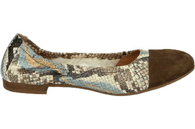 Donna Carolina 57170402 - alle