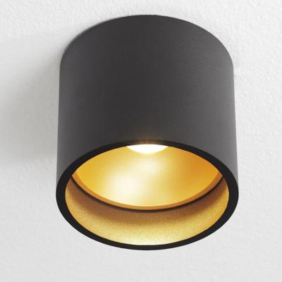 Opbouwspot Artdelight Ormond 1 Lichts LED 2700K Dimbaar Zwart/Mat Goud