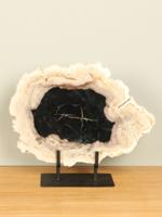 Schijf versteend hout op standaard nr. 23