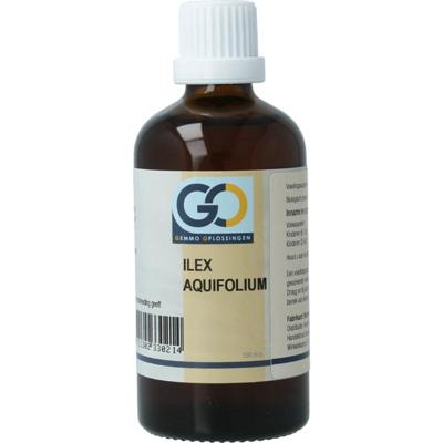 GO GO ilex aquifolium bio