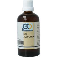 GO GO ilex aquifolium bio