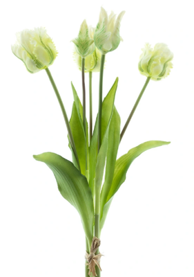 Bosje kunst tulpen Parrot Sally x5 cream 40 cm - Buitengewoon de boet