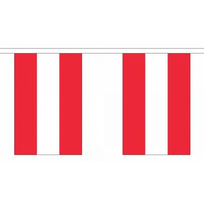 Oostenrijk Vlaggetjes vlaggenlijn slinger - 900 cm - polyester - binnen/buiten - versiering