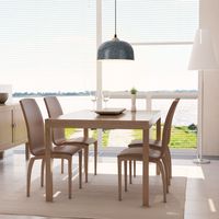 Hanglamp Plafondlamp met Verstelbare Ophangkabel en E27 Lampvoet Moderne Kroonluchter voor Eetkamer Slaapkamer Hal - thumbnail