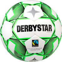Derbystar Voetbal Omega APS wit groen 1106 - thumbnail