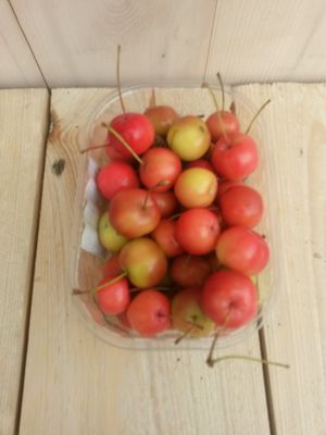 3 stuks! Decoratie appeltjes - Warentuin natuurlijk